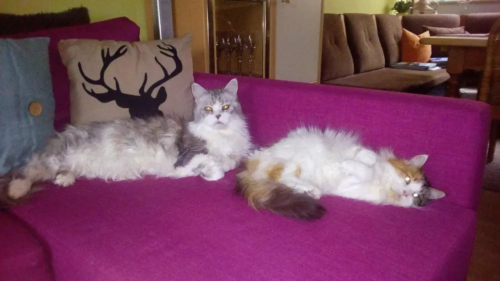 Condolence image of Oliver