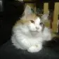 Condolence image of Oliver