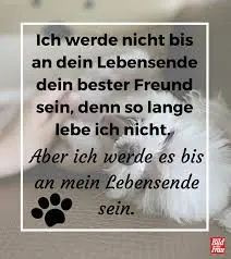 Image from Lotta/Mausebärchen