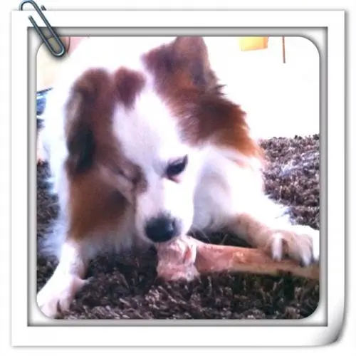 Image from Barney