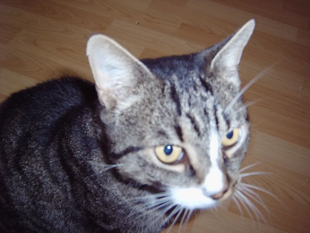 Condolence image of Joachim