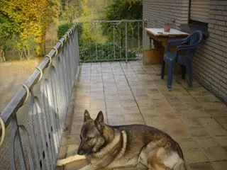 Condolence image of marietta mit paplo