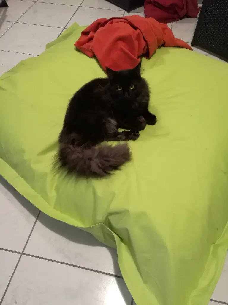 Image from Balou
