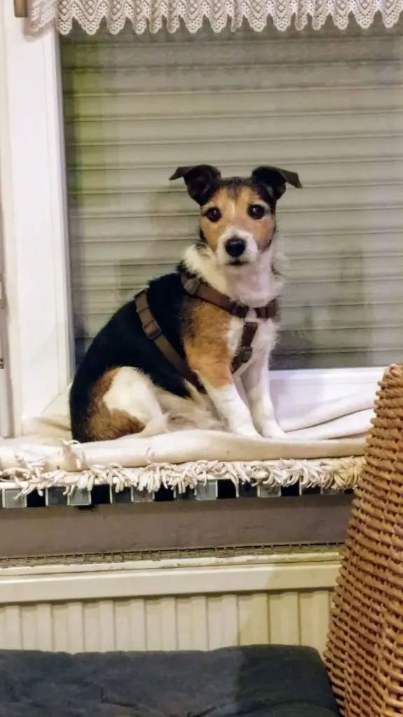 Condolence image of Für Paul ♥️