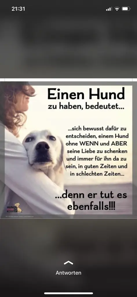 Condolence image of Für Paul ♥️