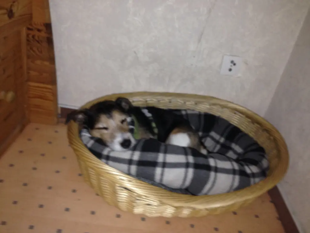 Condolence image of Für Paul ♥️
