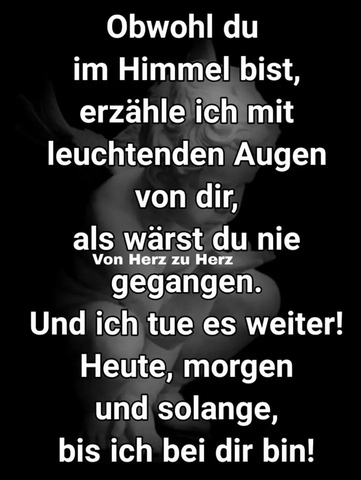 Image from Püppie