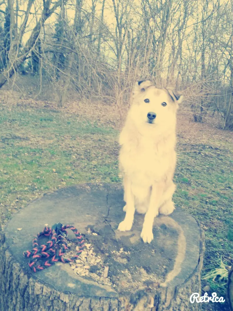 Image from Titus