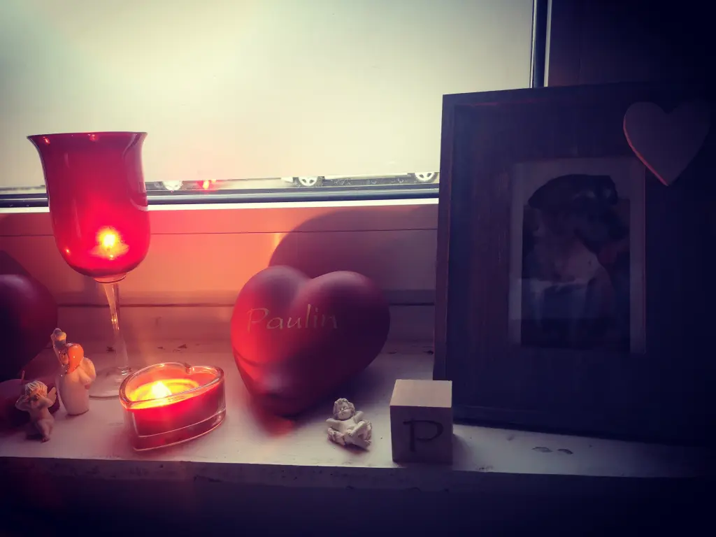 Condolence image of Nadine Bachmann
