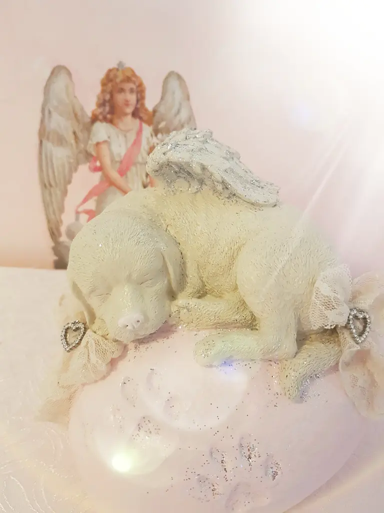 Condolence image of Deine Hundemama, Dein Hundepapa und Dein geliebter Benji