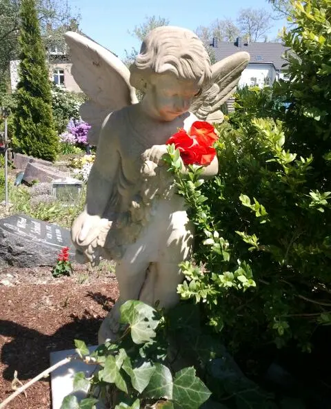 Condolence image of Deine Hundemama,  Dein Hundepapa und Dein geliebter Benji 