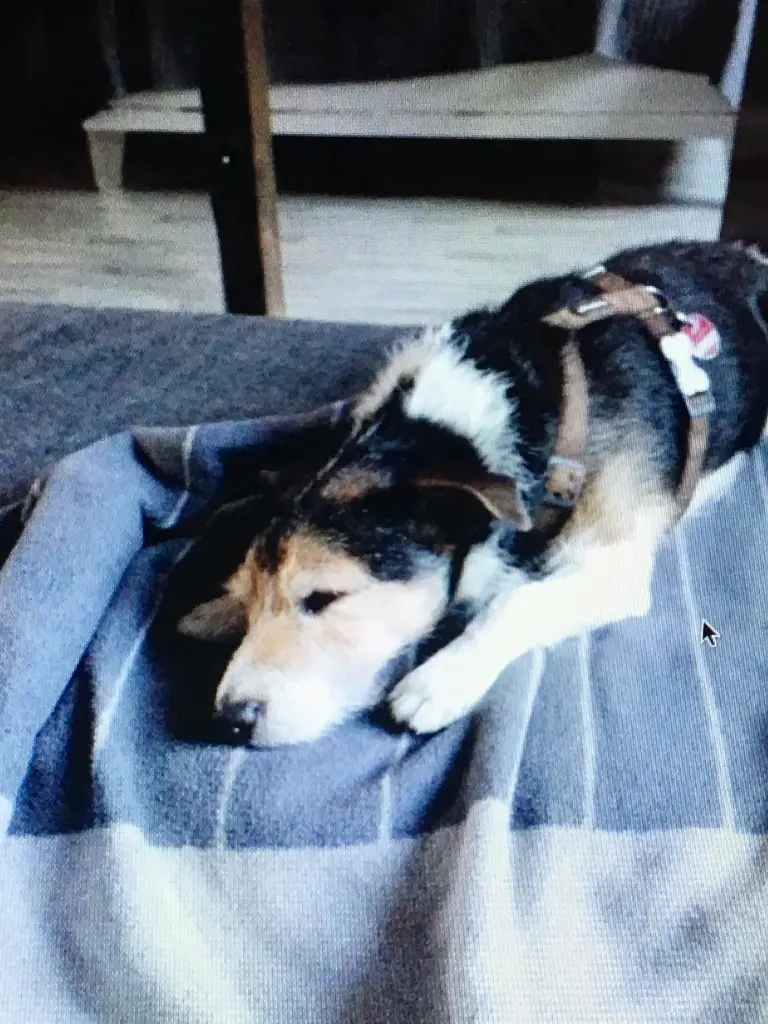 Andachtsbild von Claudia mit Paul tief im Herzen ♥️