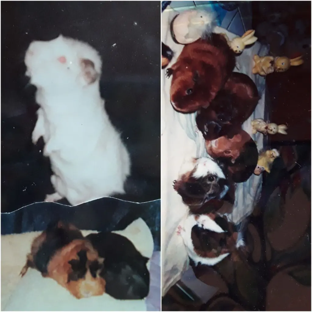 Andachtsbild von Eike und Edeltraud mit Mulle, Miezi und Jonny tief im Herzen 