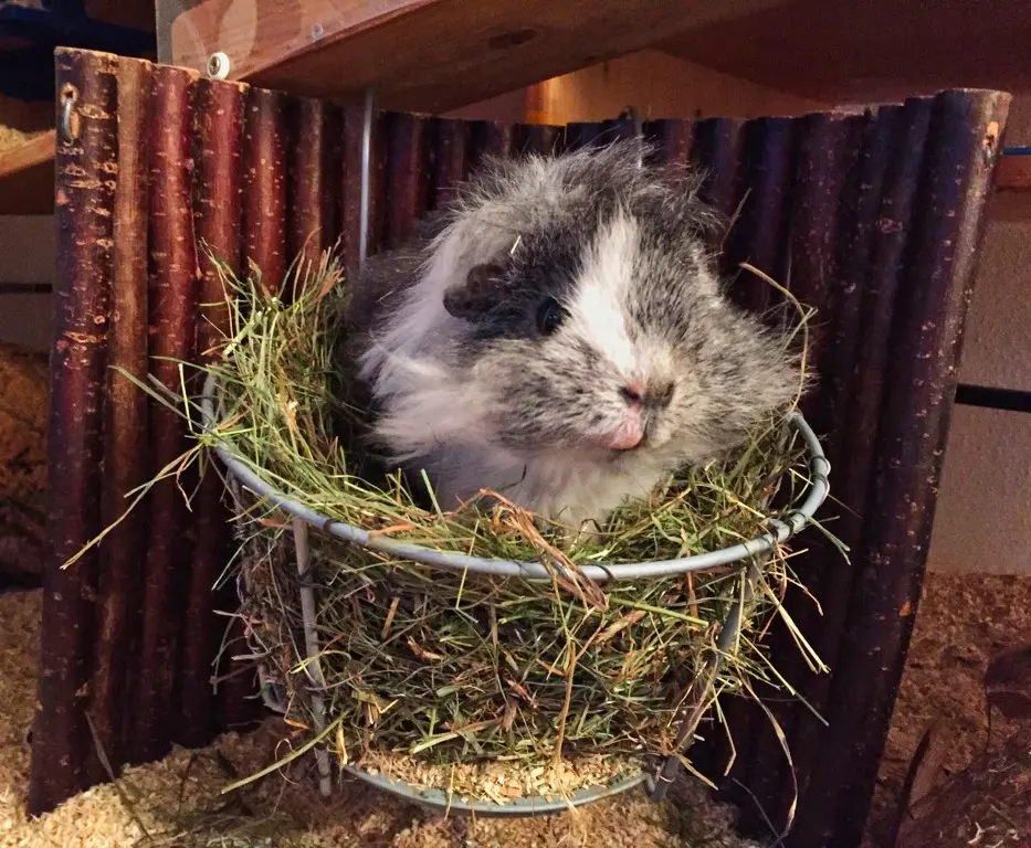 Andachtsbild von Marcus und Melanie