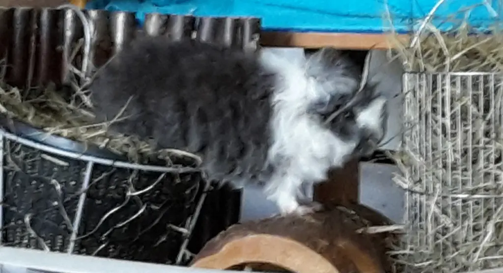 Andachtsbild von Marcus & Melanie