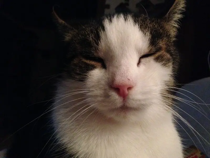 Condolence image of Birgit