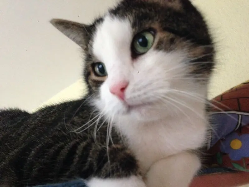 Condolence image of Birgit
