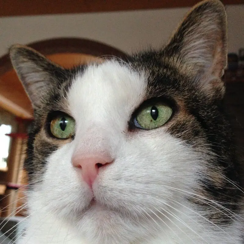 Condolence image of Birgit