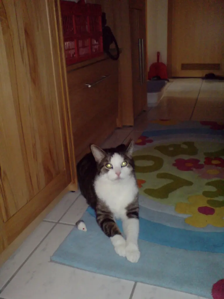 Condolence image of Birgit