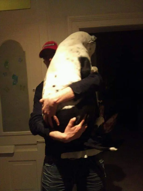 Bild von Spaghetti