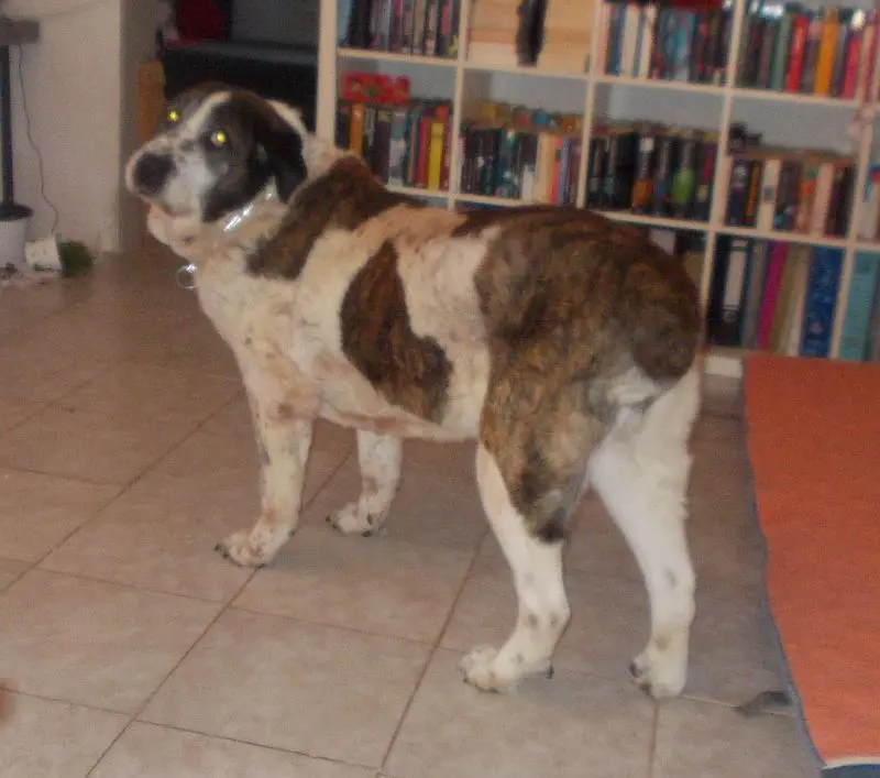 Image from Aquilino und Cayetana