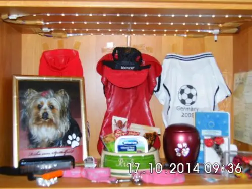 Image from Ricka vom Spittelforst