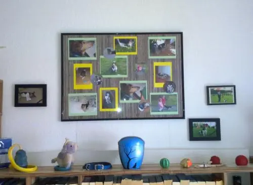 Image from Rambo