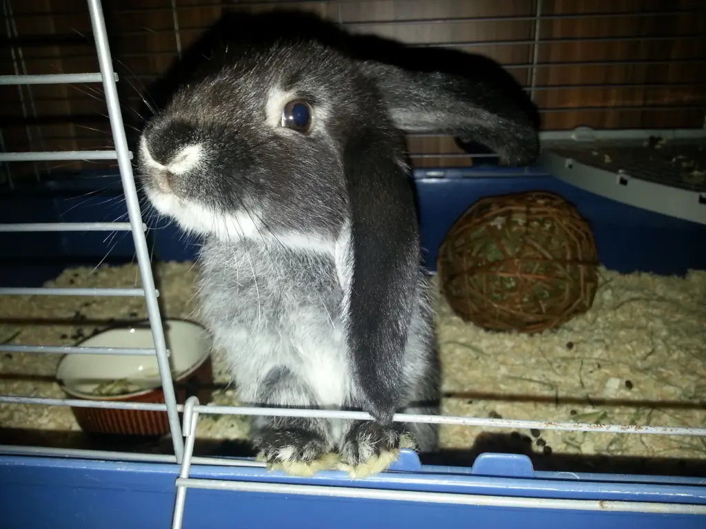 Image from Emmett (Emmie)