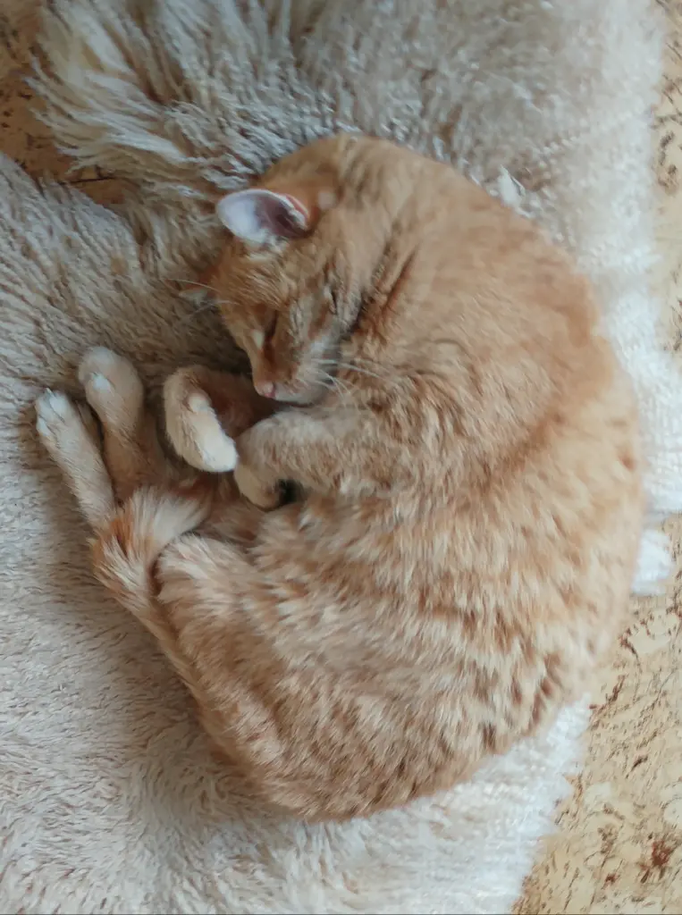 Condolence image of Katrin
