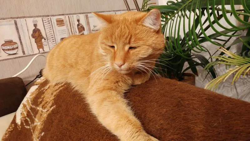 Condolence image of Katrin