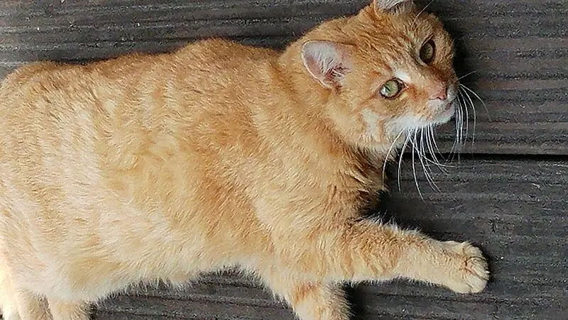 Condolence image of Katrin