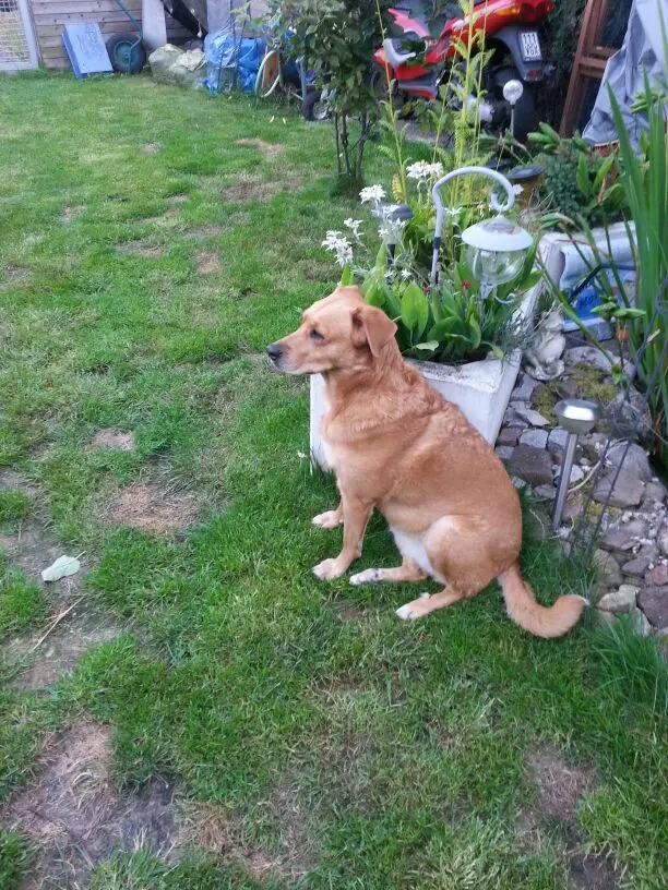 Image from Sandy