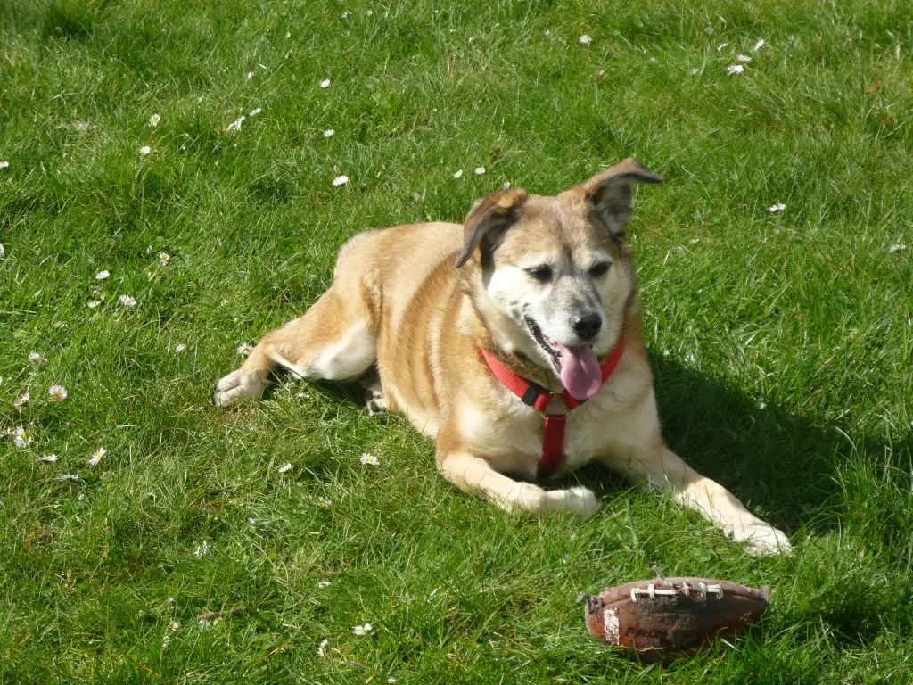 Andachtsbild von Kerstin