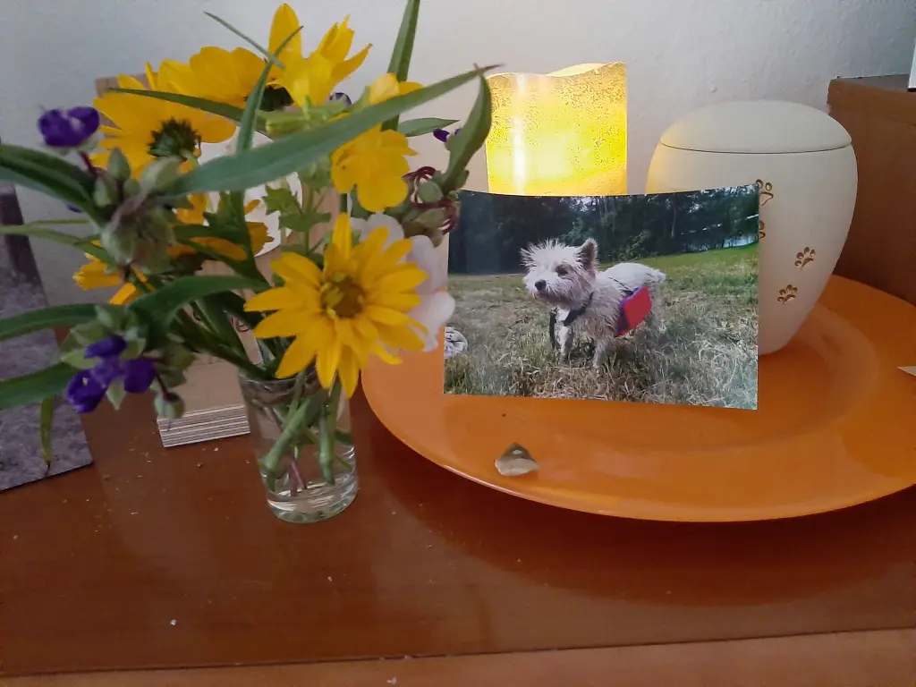 Condolence image of Beate mit Benny unvergessen