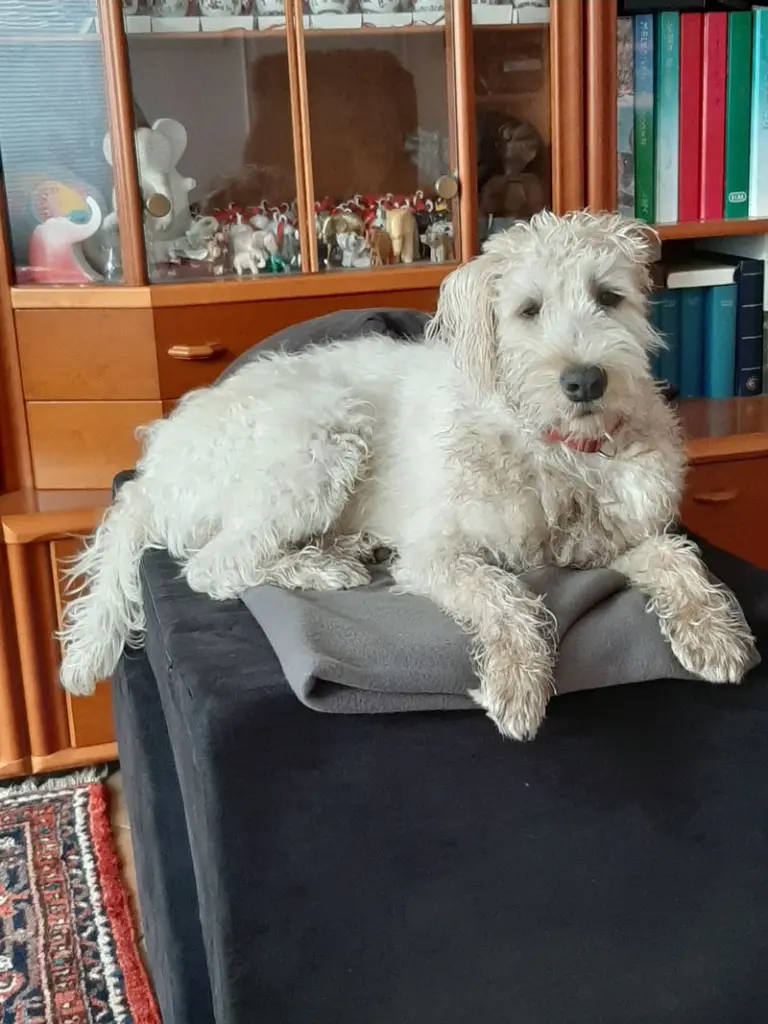 Condolence image of Beate