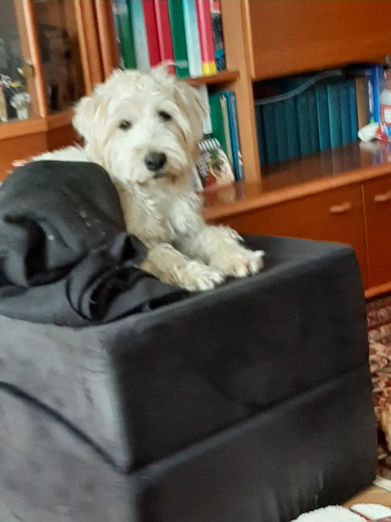 Condolence image of Beate