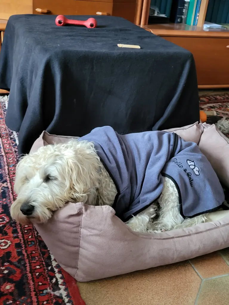 Condolence image of Beate