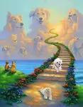 Image from Lilli
