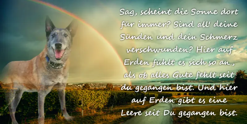 Condolence image of Sven