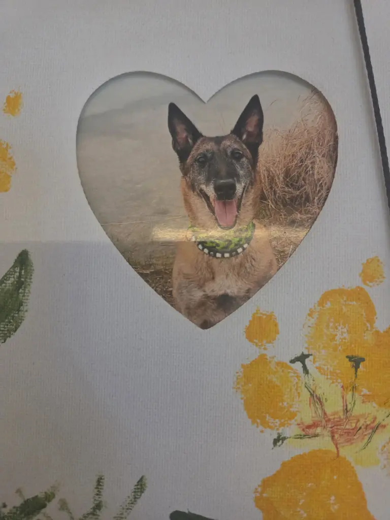 Condolence image of Iris