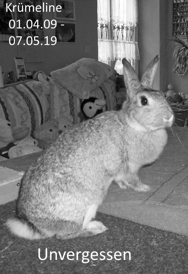 Condolence image of <Kristin