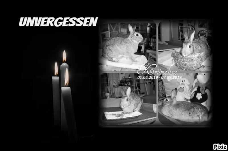 Condolence image of Kristin