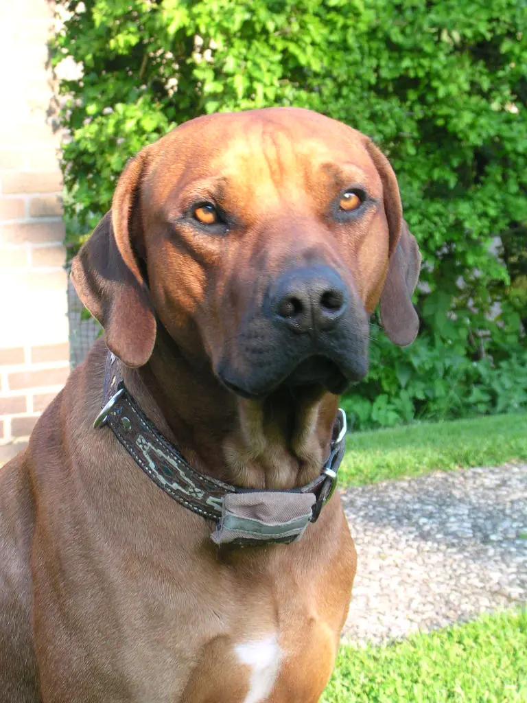 Condolence image of Britta