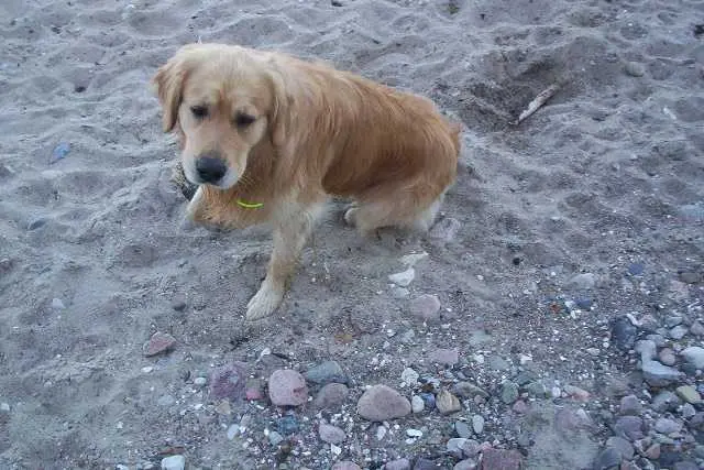 Andachtsbild von Eiko