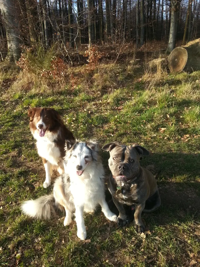 Image from Candy