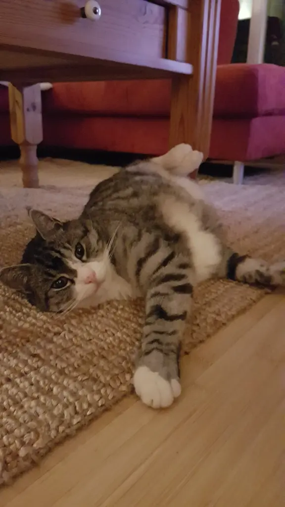 Andachtsbild von Dörte mit Hannes im Herzen