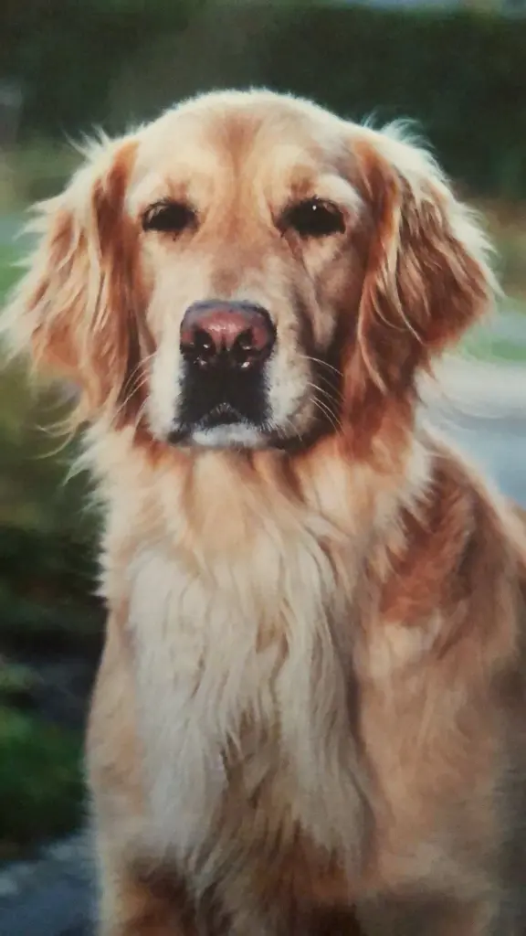 Condolence image of Alisha