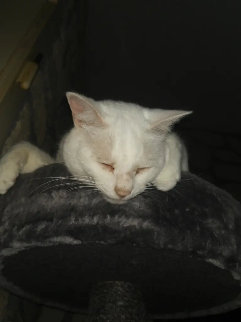 Condolence image of Marion