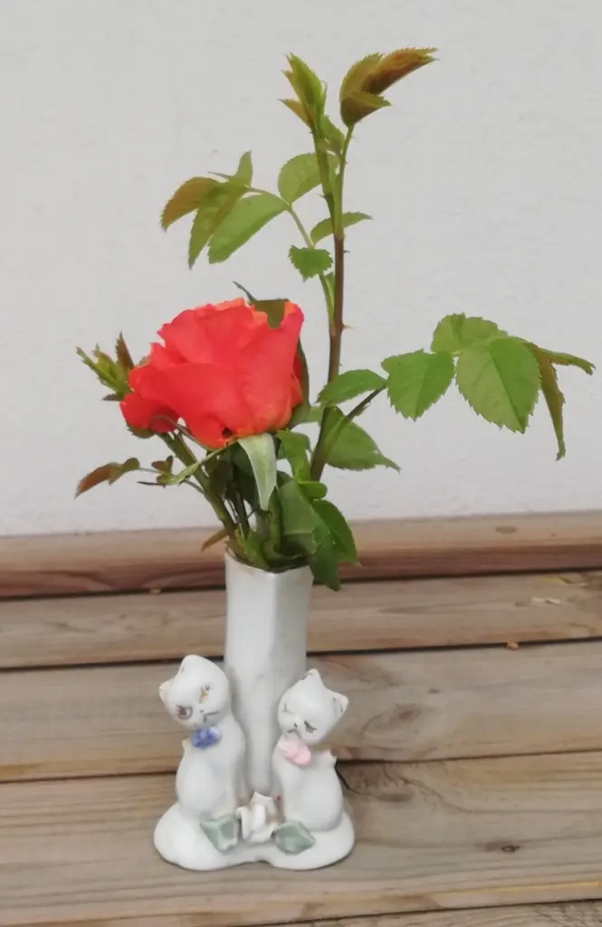 Condolence image of von Mama