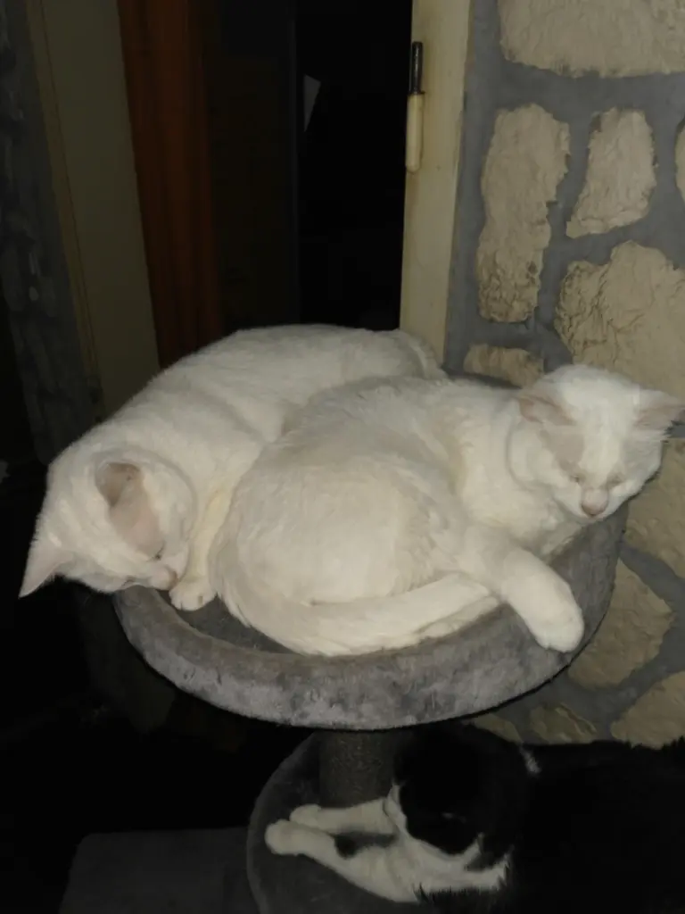 Image from Aaron